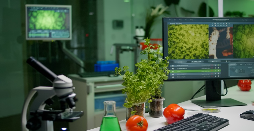 How Technology Is Transforming The Food Industry